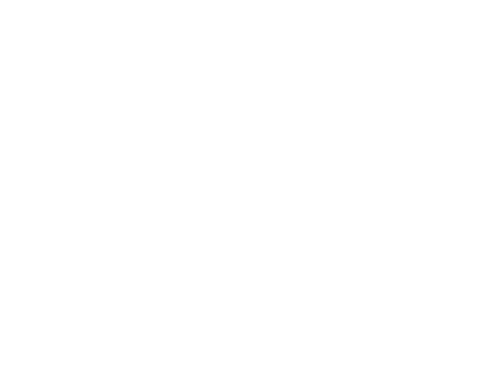 Montaverner Documental - Selecció 2024